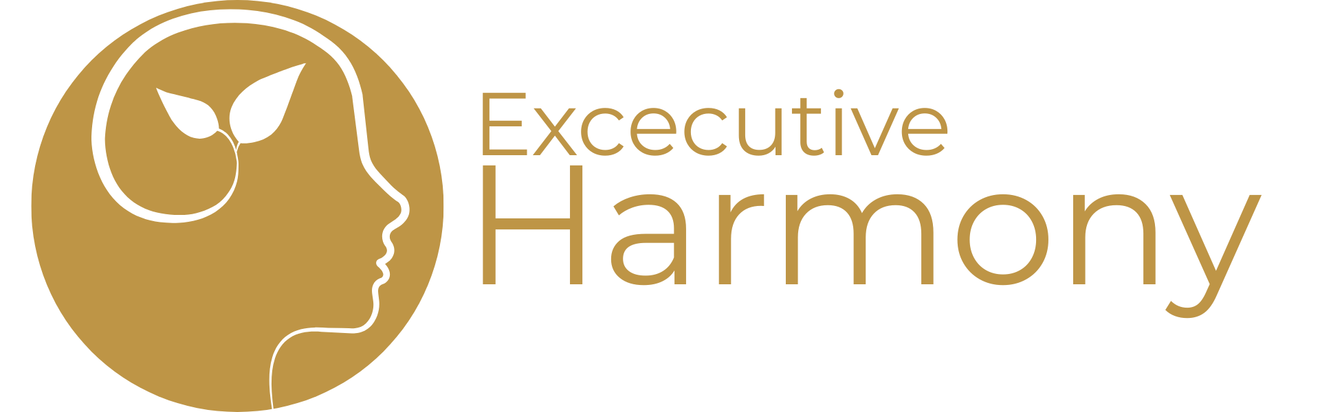 Logo Executive Harmony