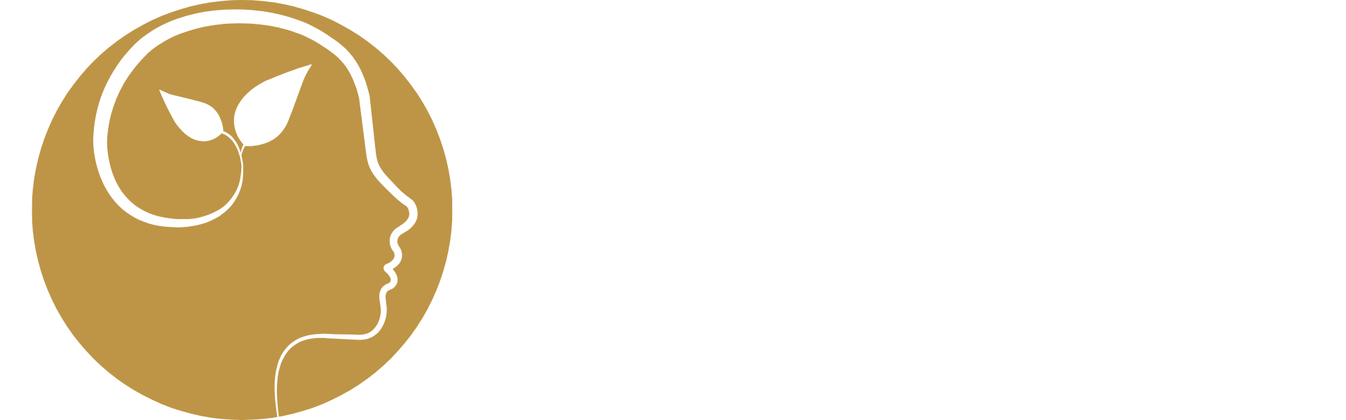 Executive Harmony