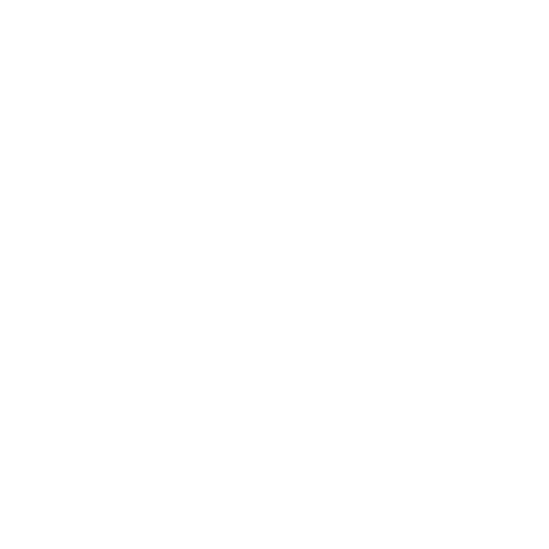 Balance between systems of the brain