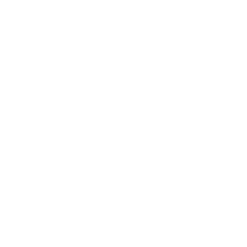 Balance between systems of the brain