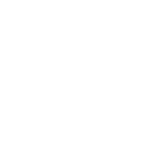 Executive Harmony - Coaching service and Solution - Performance and well-being