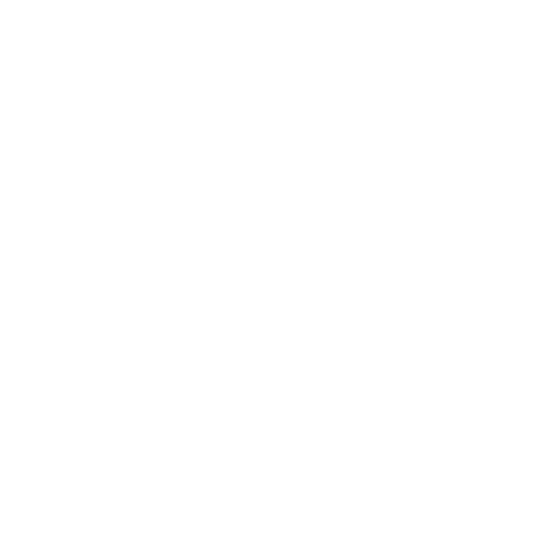 performance coaching icone