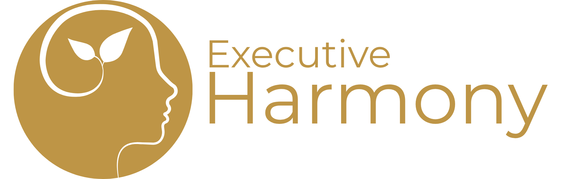 logo executive harmony (1)